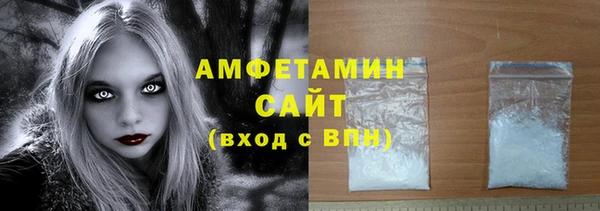 гидра Горняк