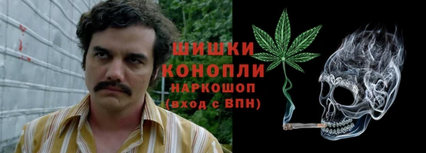 метадон Горнозаводск