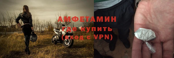 гидра Горняк