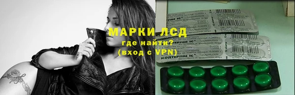 гидра Горняк