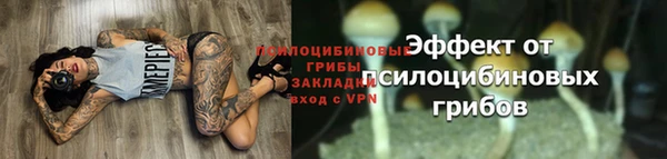 метадон Горнозаводск