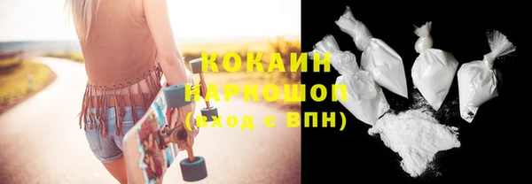 гидра Горняк