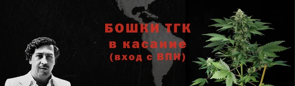 метадон Горнозаводск