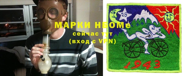 гидра Горняк
