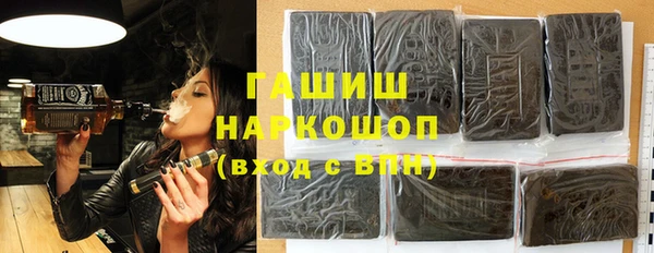 гидра Горняк