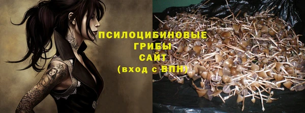 гидра Горняк