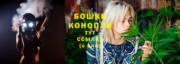 метадон Горнозаводск
