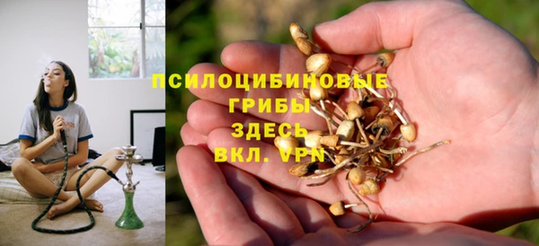 метадон Горнозаводск