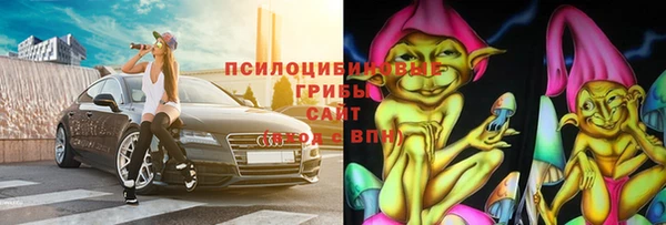 гидра Горняк