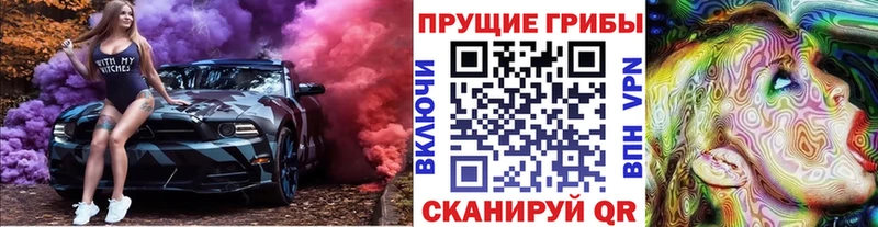omg зеркало  Северск  Псилоцибиновые грибы Magic Shrooms 